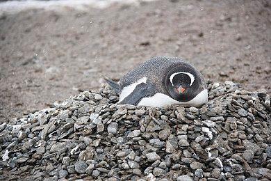 《命运2：宿命边缘》现已上线 全新命运传奇就此开启